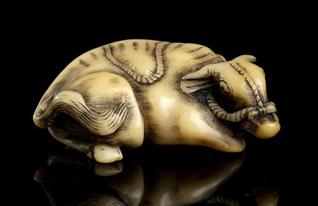 NETSUKE IN CORNO CON BUE SDRAIATO 
Giappone, XIX secolo