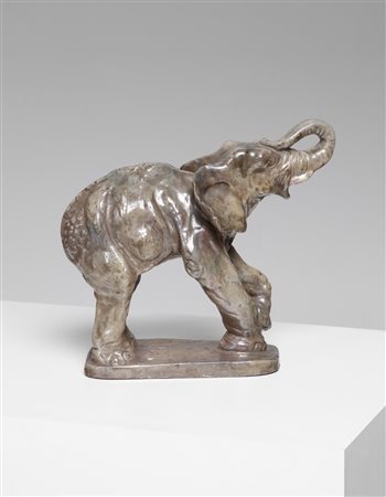  MASTROIANNI Domenico - Elefante.