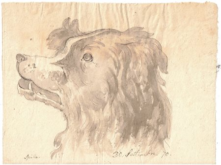 Testa di cane, Fine 19° secolo