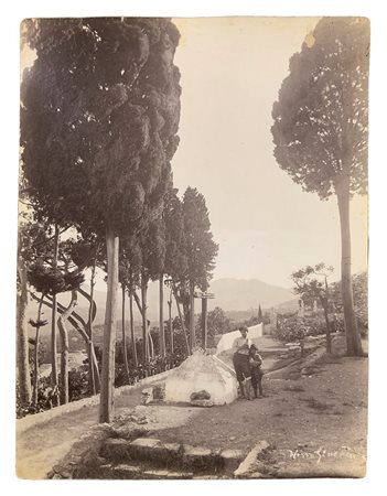 Von Gloeden, Wilhelm (Wismar1856-Taormina  1931)  - Salita con alberi di Taormina (oggi Via Luigi Pirandello)