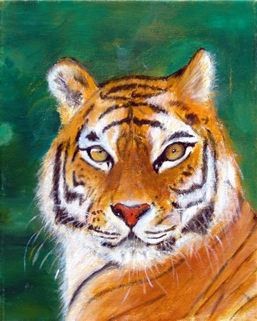 DAVIDE PRUDENZA, Tiger, 2009