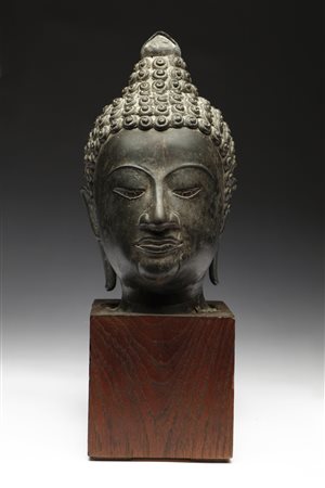  Arte Sud-Est Asiatico - Testa di Buddha
Tailandia, periodo Sukhothai, secolo XV.