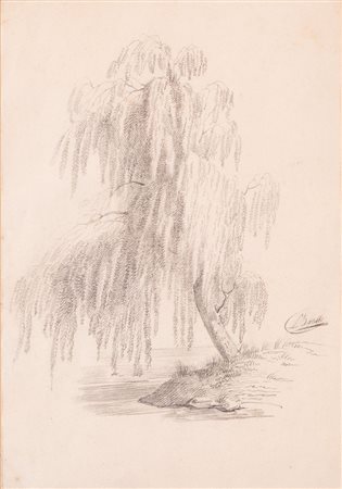 LUIGI BERTELLI (San Lazzaro di Savena 1833 - Bologna 1916) "Albero". Disegno...