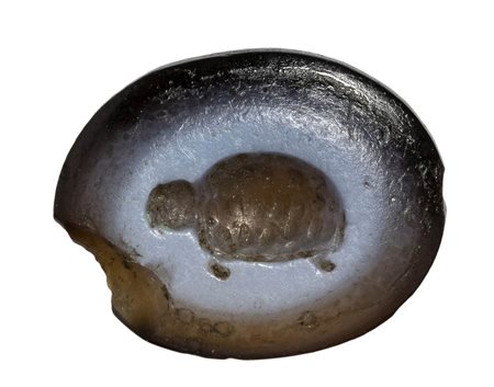 A roman nicolo intaglio. Turtle.<br><br>1st - 2nd century A.D.