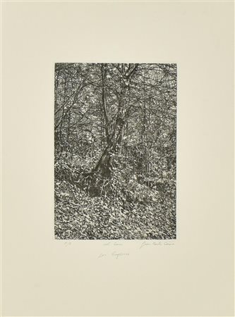 Giancarlo Aiosa NEL BOSCO Acquaforte, mm 277x192, su foglio cm 50x39,5; es. P.A.