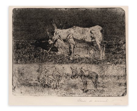 GIOVANNI FATTORI (1825-1908) - Studi di Animali