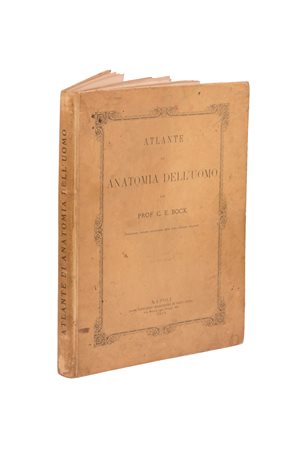 Atlante di anatomia dell'uomo  del prof. C.E. Block 
 