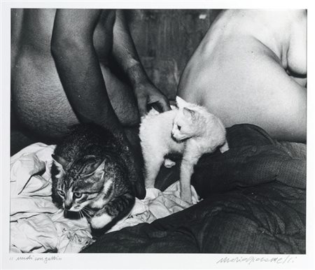 Mario Giacomelli Senigallia (An) 1925 - 2000 Nudi con gatti Stampa alla...