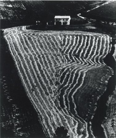 Mario Giacomelli Senigallia (An) 1925 - 2000 Presa di coscienza sulla natura,...