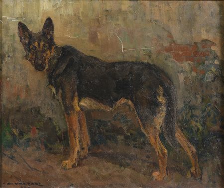 DIPINTO CANE LUPO DI ALFREDO VACCARI