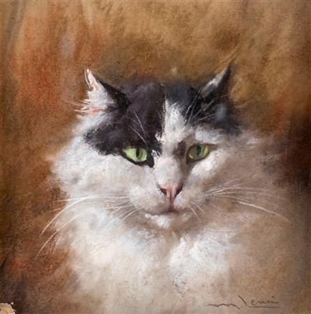 Marino Lenci (Napoli, 1874 - Napoli, 1939) 
Gatto 
Olio su cartone cm 29x29 - in cornice 44x44