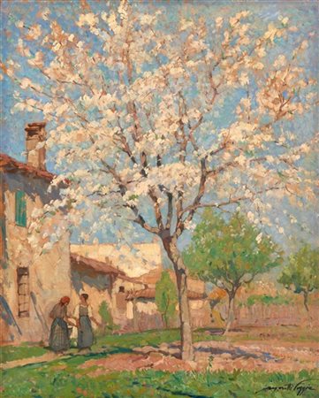 Mario Moretti Foggia "Ciliegio in fiore" 
olio su compensato (cm 49,5x40)
Firmat