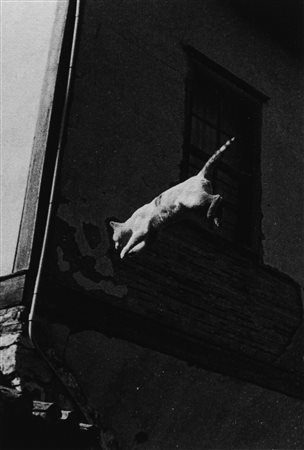 Ferdinando Scianna (1943)  - Mario Soldati, La mamma dei gatti / Il gatto che salta, 1984 , 2013