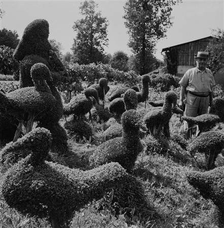 Robert Doisneau (1912-1994)  - Blaise Cendrars dans le jardin, 1950s