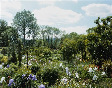 Stephen Shore (1947)  - Giverny 5, 2002