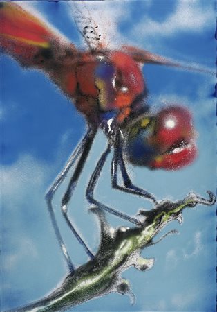 SHIRK (n. 1973) Insect. 2011. Tecnica mista su tela. Cm 70,00 x 100,00 x...