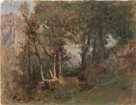 Silvio Allason (Torino 1845-1912)  - Paesaggio alpestre