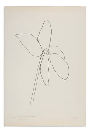 ELLSWORTH KELLY, Cyclamen IV, 1964-1965