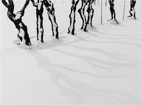 Elio Ciol (1929)  - Ombre sulla neve, 1953