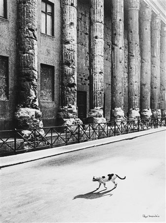 Pepi Merisio (1931-2021)  - Essere gatto a Roma, Tempio di Adriano, 1972