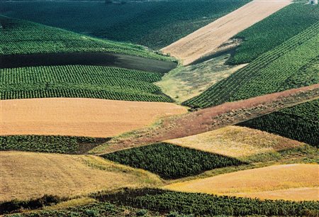 Franco Fontana (1933)  - Sicilia, 1988