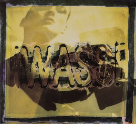 Maurizio Galimberti (1956)  - Wass, 2000