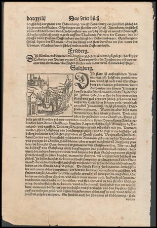 Sebastian Münster (1488-1552): FRIDBERG, SALSBURG, PASSAU E BRUNSWICK