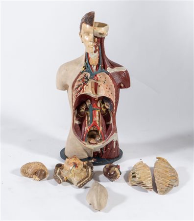 Manichino anatomico didattico, realizzato nella prima metà del XX secolo....