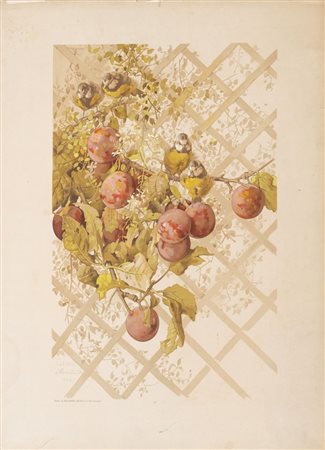 Gustave LEONCE (XIX-XX) "Senza titolo", 1886. Litografia a colori su carta....