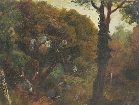 Pietro Senno BOSCO olio su cartone, cm 25x32 firma