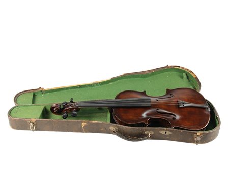 VIOLINO 