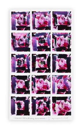 MAURIZIO GALIMBERTI (1956) - FioriarioPopIs Pink&PinkPopPop...