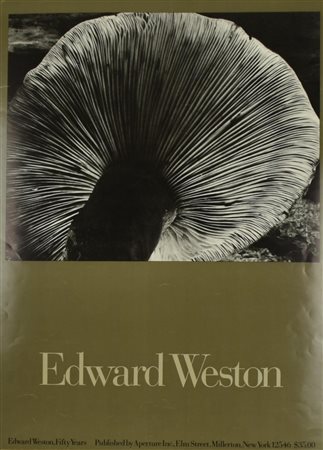 EDWARD WESTON manifesto, 61x46 cm Realizzato da Aperture Inc., New York per...