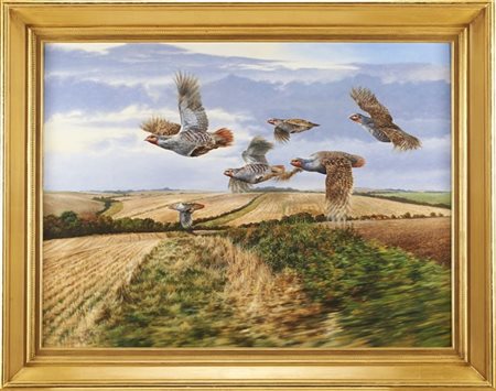 Andrew Ellis "Coming Home (covey of grey partridge)" acrilico su cartone (cm 91