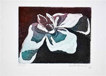 ROSETTA BERARDI LAVATURA, Fiore