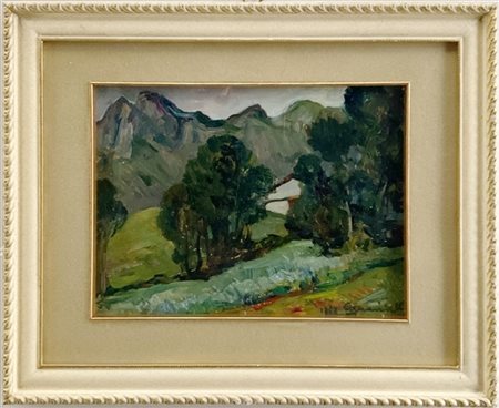 Firma indecifrata "Paesaggio montano" Olio su compensato (cm 19x26) Firmato e d