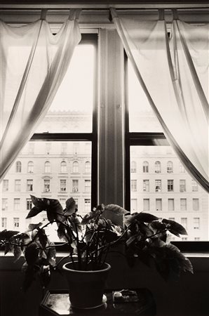 Pino Settanni (1949-2010)  - New York, 2000