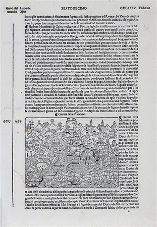 Sebastian Münster, Der schönen und weitberhumpten Statt Genua Abcontrafactur. 1592 ca.