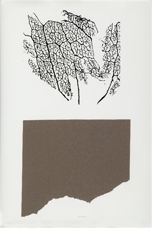 BRUNO MUNARI (1907-1998) Senza Titolo 1989 serigrafia cm 50x35 esemplare...