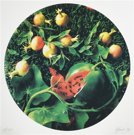 Piero Gilardi (1942 - 2023) SENZA TITOLO (FRUTTI), 1997 litografia, cm 70x70;...