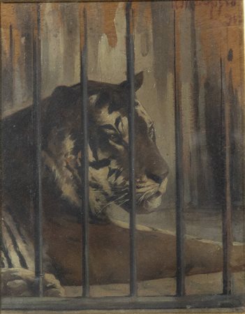 ANDREA MARCHISIO<BR>Torino 1850 - 1927<BR>"La tigre Nouma-Hava dal vero" 1903