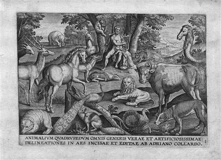 Collaert, Adriaen(Anversa 1560 ca. - 1618 ca.)GLI ANIMALI QUADRUPEDI....