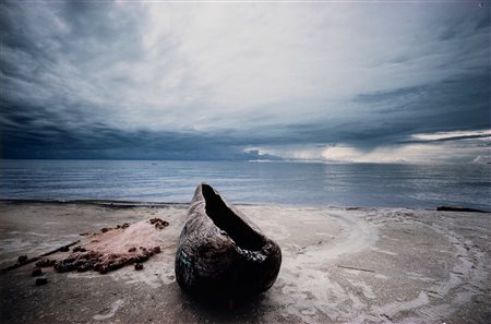 Antonio Auricchio (XX sec.)  - Lago Malawi, 1995