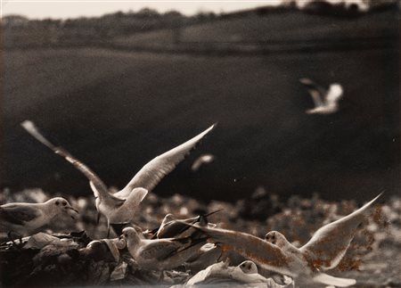 Mario Giacomelli (1925-2000)  - Senza titolo, 1980s/1990s