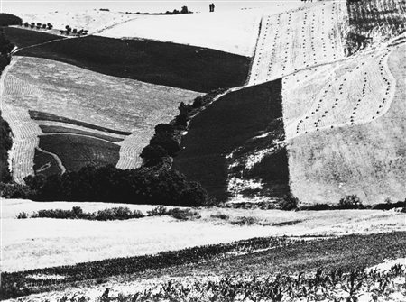 Mario Giacomelli (1925-2000)  - Presa di coscienza sulla natura, 1975/1985