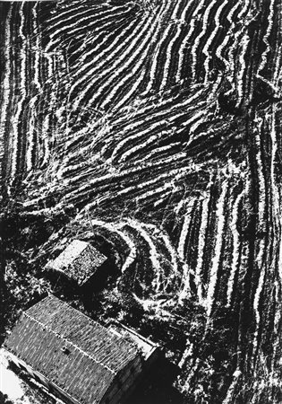 Mario Giacomelli (1925-2000)  - Presa di coscienza sulla natura, 1978