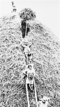 Mario Giacomelli (1925-2000)  - La buona terra, 1964/1966