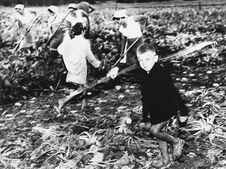 Mario Giacomelli (1925-2000)  - La buona terra, 1964/1966