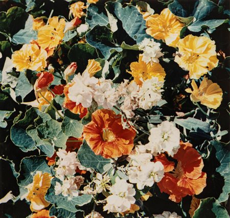 Arrigo Orsi (1897-1968)  - Tavolozza di fiori, 1950s