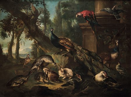 Angelo Maria Crivelli ? Milano-1730 Milano, detto il Crivellone, Veduta di giardino con pavone, pappagallo e conigli
